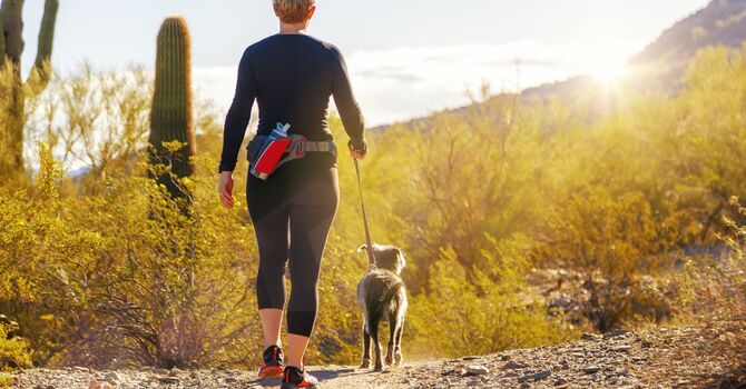 Back Pain Physical Therapy: How Expert Care Restores Strength and Mobility